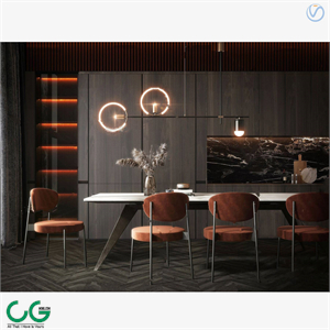 Modern light luxury dining table and chair combination 3d model
